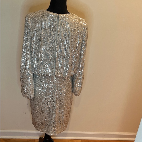 Elijah J Sequin Blouson Sleeve Dress - Picture 6 of 14